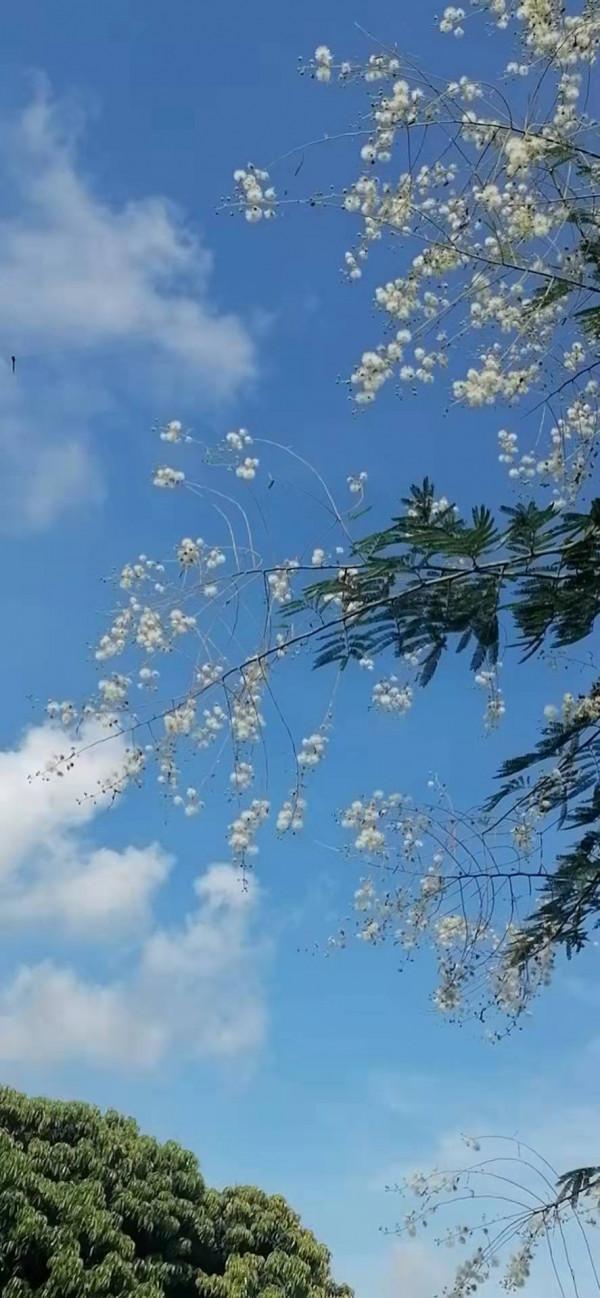 雲彩下的山城系列（四）