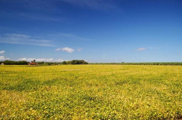 《中國大百科全書（第2版）》讀書筆記01938-巴西