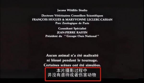 《當家主母》虐貓？這些影視劇的動物們也很慘，有些甚至立過功