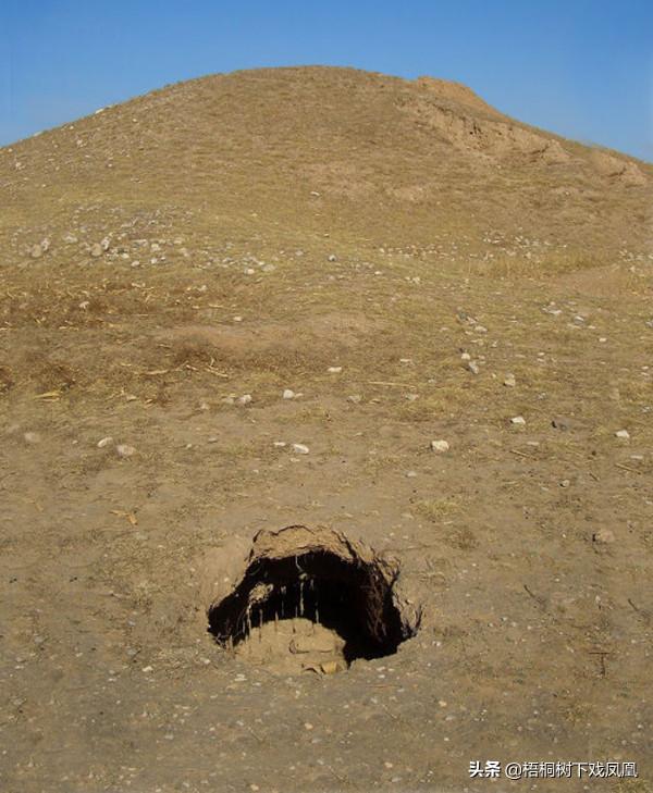 盜墓者在深山老林發現貴族大墓，墓主僅14歲，壁上一行字暴露身份