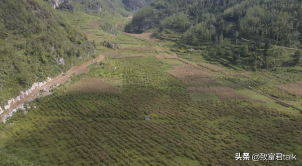 他畢業即失業，在困境中找商機，半年賺到800萬