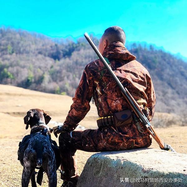 獵犬怎麼餵養 獵犬怎麼餵養