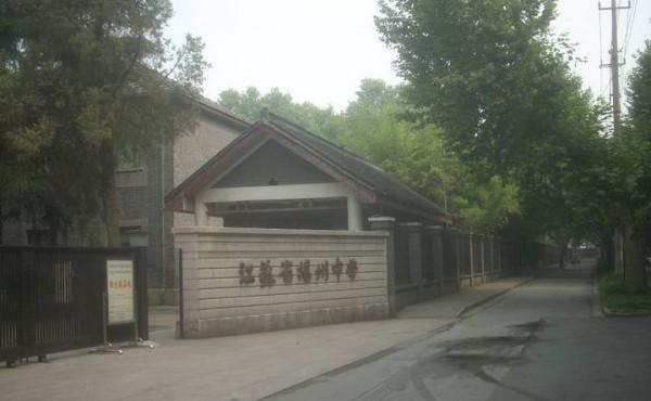 揚州城給我印象最深的是他的樹