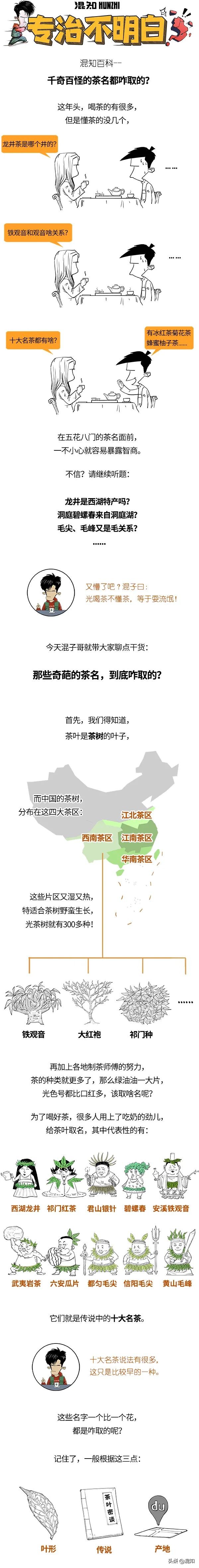 一口氣搞懂中國十大名茶：五花八門的茶名，都是咋取的？