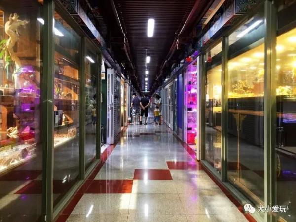 京城八大寶藏花市裡,藏著孩子最愛的植物園和水族館,冬日逛起來 京城八大寶藏花市裡,藏著孩子最愛的植物園和水族館,冬日逛起來