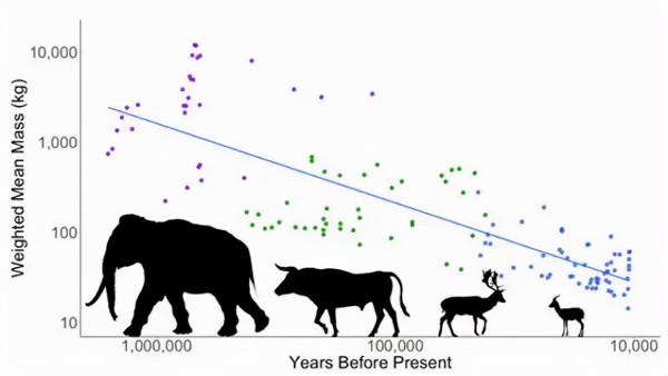 過去150萬年，哺乳動物平均體重狂降98%，誰是真正的罪魁禍首？
