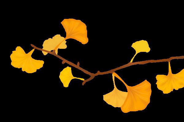 別找我,我要去浦東“小聖托里尼”做白日夢啦 別找我,我要去浦東“小聖托里尼”做白日夢啦