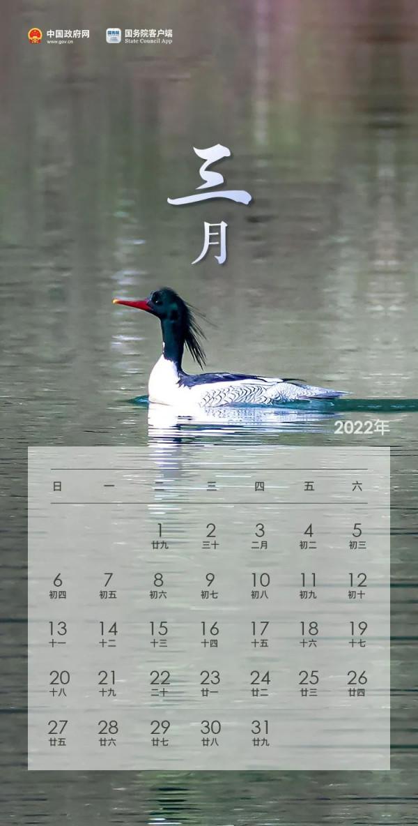 「收藏」它們想要承包你2022一整年的手機桌布