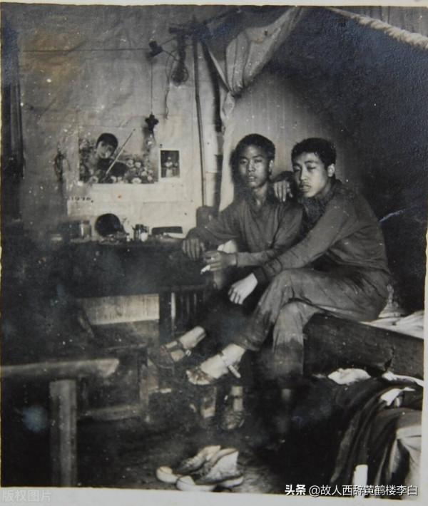 母狗用身體呵護棄嬰,他長大後收養了100多隻流浪狗,50歲沒結婚 母狗用身體呵護棄嬰,他長大後收養了100多隻流浪狗,50歲沒結婚