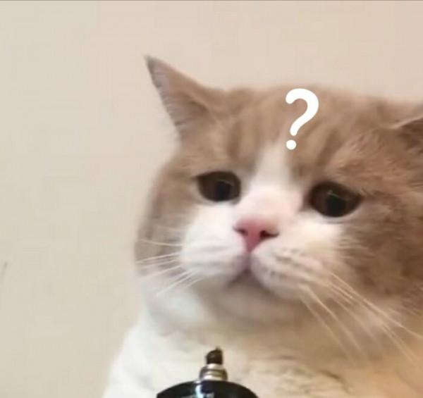 環球影城究竟有什麼魅力？能讓明星扎堆去