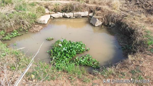 太奇怪了,湖南有一口五百多年的水井為什麼突然幹了? 太奇怪了,湖南有一口五百多年的水井為什麼突然幹了?