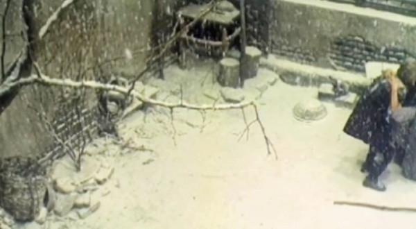 漂亮女人為了生存，越過了道德底線