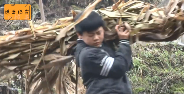 13歲農村娃放棄學業甘當人梯,供哥哥唸書,楊冪感動落淚幫圓夢 13歲農村娃放棄學業甘當人梯,供哥哥唸書,楊冪感動落淚幫圓夢