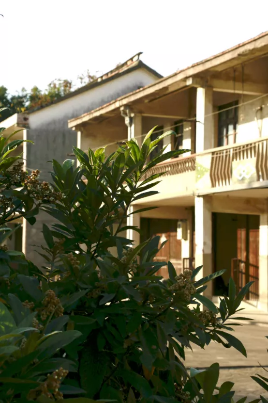 聯莊村：一個＂整＂出來的野趣盎然江南水鄉