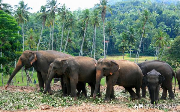 中國最早開通國際動車的“雲南省”的20個冷知識,你知道幾個? 中國最早開通國際動車的“雲南省”的20個冷知識,你知道幾個?