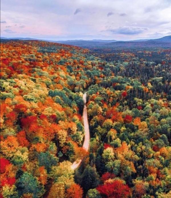 佛蒙特森林風光