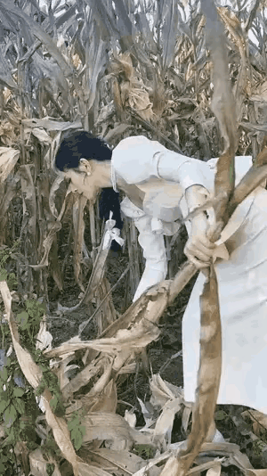 想成網紅冒充農民倒也罷了,但千萬別去侮辱歧視消遣農民 想成網紅冒充農民倒也罷了,但千萬別去侮辱歧視消遣農民