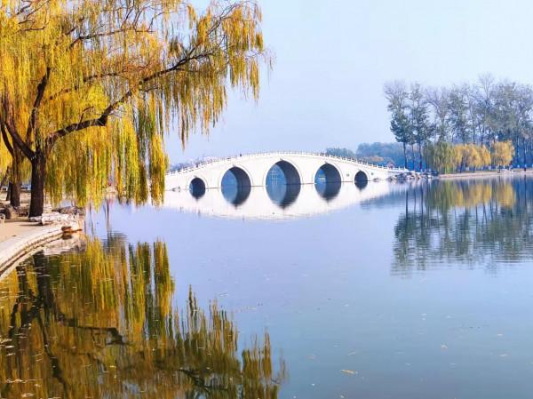 玉淵潭秋色秋韻,像莫奈筆下的畫 玉淵潭秋色秋韻,像莫奈筆下的畫