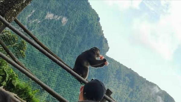 峨眉山之行(建議大家收藏,攻略寫在最後) 峨眉山之行(建議大家收藏,攻略寫在最後)