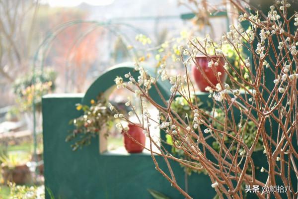 萬物起始，立春暖陽下，等待花園甦醒 &vert; 園丁