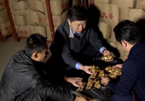 山東男子創辦生薑加工廠，種植生薑帶頭致富，國內銷售收入上億元