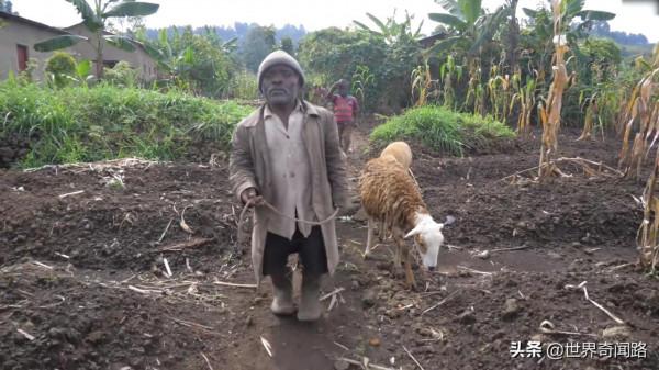 56歲非洲大叔迎娶漂亮公主,被稱為現實版的矮人和公主,非洲故事 56歲非洲大叔迎娶漂亮公主,被稱為現實版的矮人和公主,非洲故事