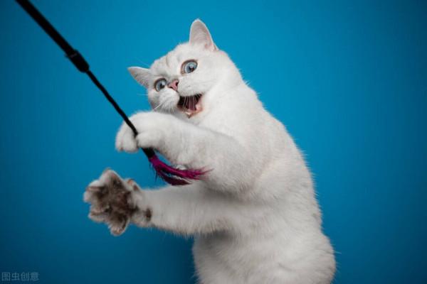 別叫了，行不行？