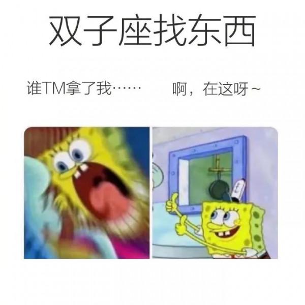 （星梗）星座meme合集12.3-12.10