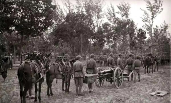 1937年，我軍的強大炮兵部隊