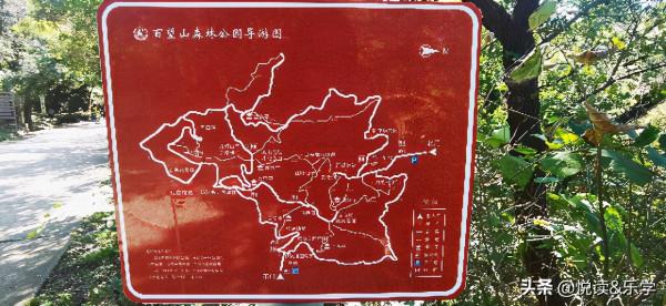 眺望京城,鍛鍊身心,暫離塵囂,來一場放鬆 眺望京城,鍛鍊身心,暫離塵囂,來一場放鬆