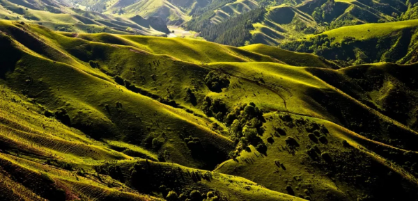 天山草原——伊犁河谷