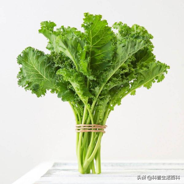 幾種很棒的食物