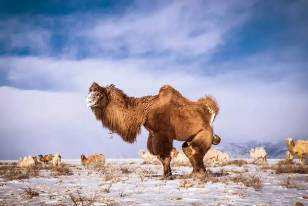 國內6條超驚豔的自駕路線，橫跨東西南北，一路風景賞心悅目
