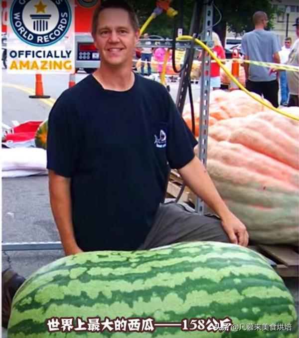 盤點18種全球最大的水果、蔬菜,都是常見的,卻大到讓人瞠目結舌 盤點18種全球最大的水果、蔬菜,都是常見的,卻大到讓人瞠目結舌