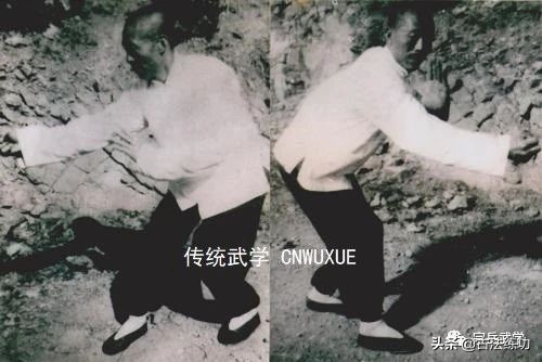 彈抖勁及其練習