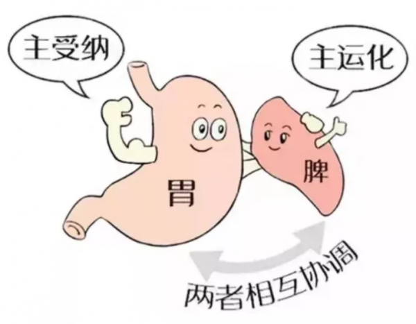 脾胃不好，試試《飲膳正要》推薦的沙乞某兒湯吧