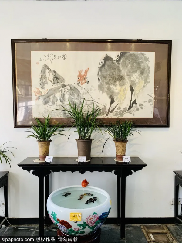 這幾個公園“上新”了，有菊花、蘭花、南瓜、石榴、山楂…