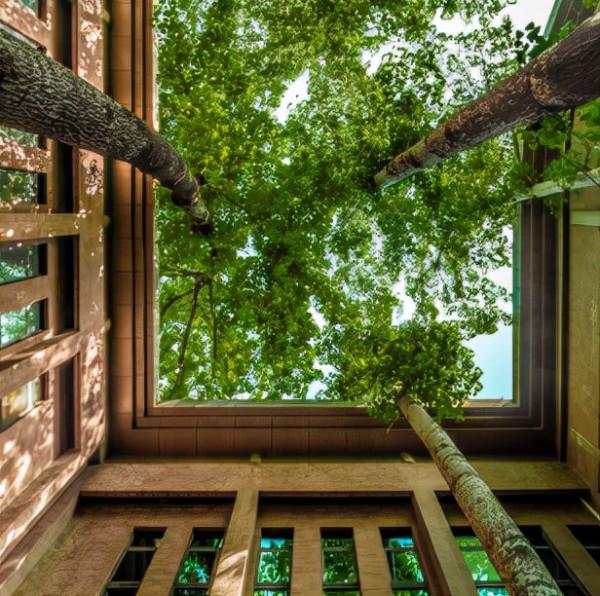 高顏值！陝西這所高校位於特大城市，佔地4300畝！網友：風景絕美