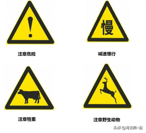 學會這幾個答題技巧，科一考試就簡單多了