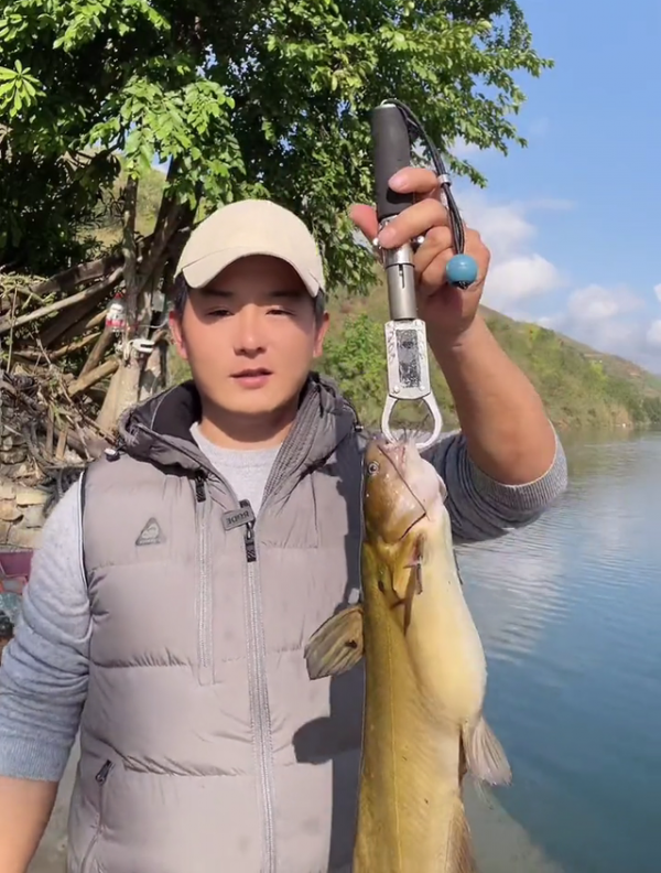 3斤的黃辣丁，一米六的鯰魚王，釣友頻繁釣上大魚，禁漁的功勞？