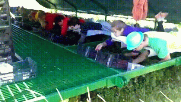 德國全機械化農業有多牛？看完讓你大開眼界，一個農民養活120人