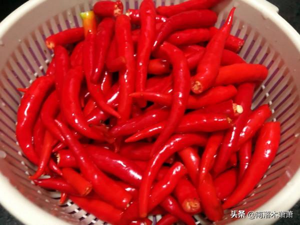 蒜蓉小米辣椒醬，讓我一次辣個夠，辣椒醬這麼做實在是太過癮啦