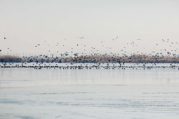 別等頭髮花白才說“我要出去走遠方”，趁冬日暖陽，遇見恰好風景