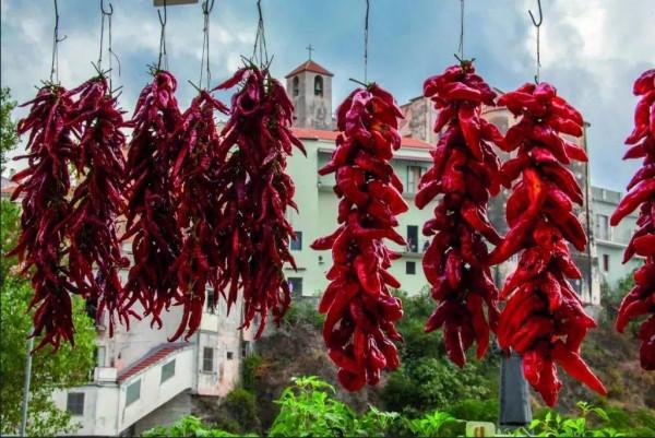 研究證實:吃辣椒非但不會傷胃,還有可能降低患癌風險,是這樣嗎 研究證實:吃辣椒非但不會傷胃,還有可能降低患癌風險,是這樣嗎