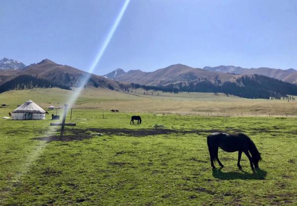 盤點新疆北疆旅遊十大必去景點（5）：東方小瑞士-那拉提草原