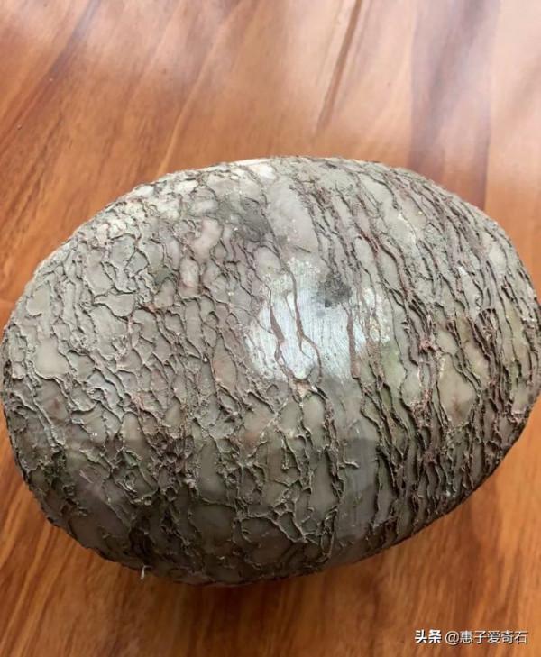 最貴的化石拍出2&period;16億，但有些&OpenCurlyDoubleQuote;化石&rdquo;並非化石