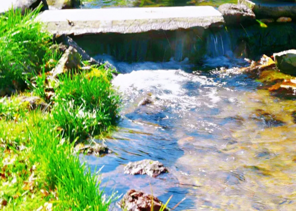 自帶濾鏡！最浪漫的秋天非她莫屬！