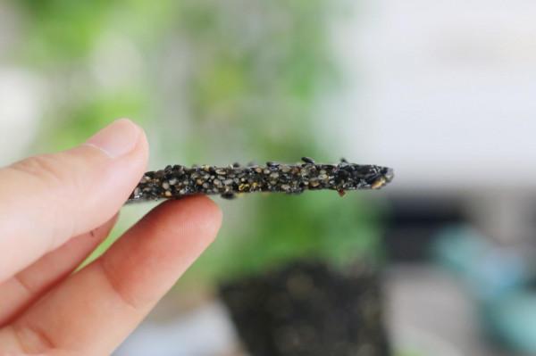 入冬後，我隔三差五就要做的小零食，香甜酥脆，老人孩子都愛吃