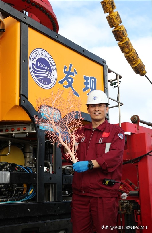 繪生物圖卷 探海山奧秘：記中國科學院海洋研究所研究員徐奎棟轉載