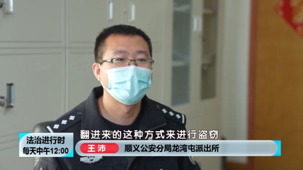 太缺德！果農辛苦耕種一年的水果，剛摘下來就被盜走上千斤